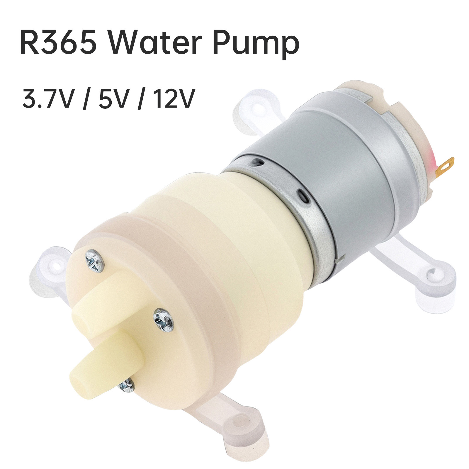 R365 محرك مضخة مياه صغير تيار  - مراجعة Mini Peristaltic Pump 12V وسعره