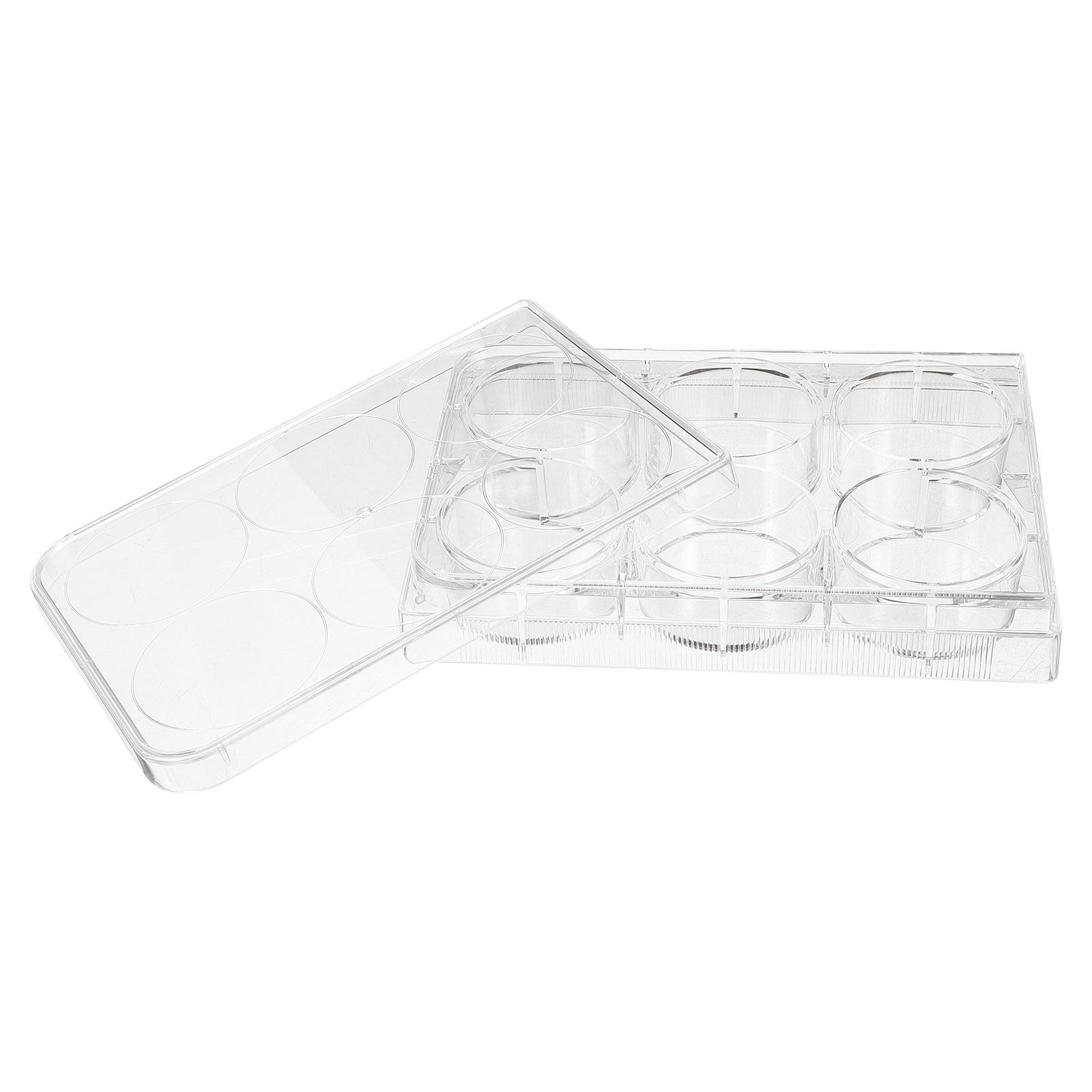طبق زراعة الأنسجة المخبري ذو ت - مراجعة Lab Equipment وسعره
