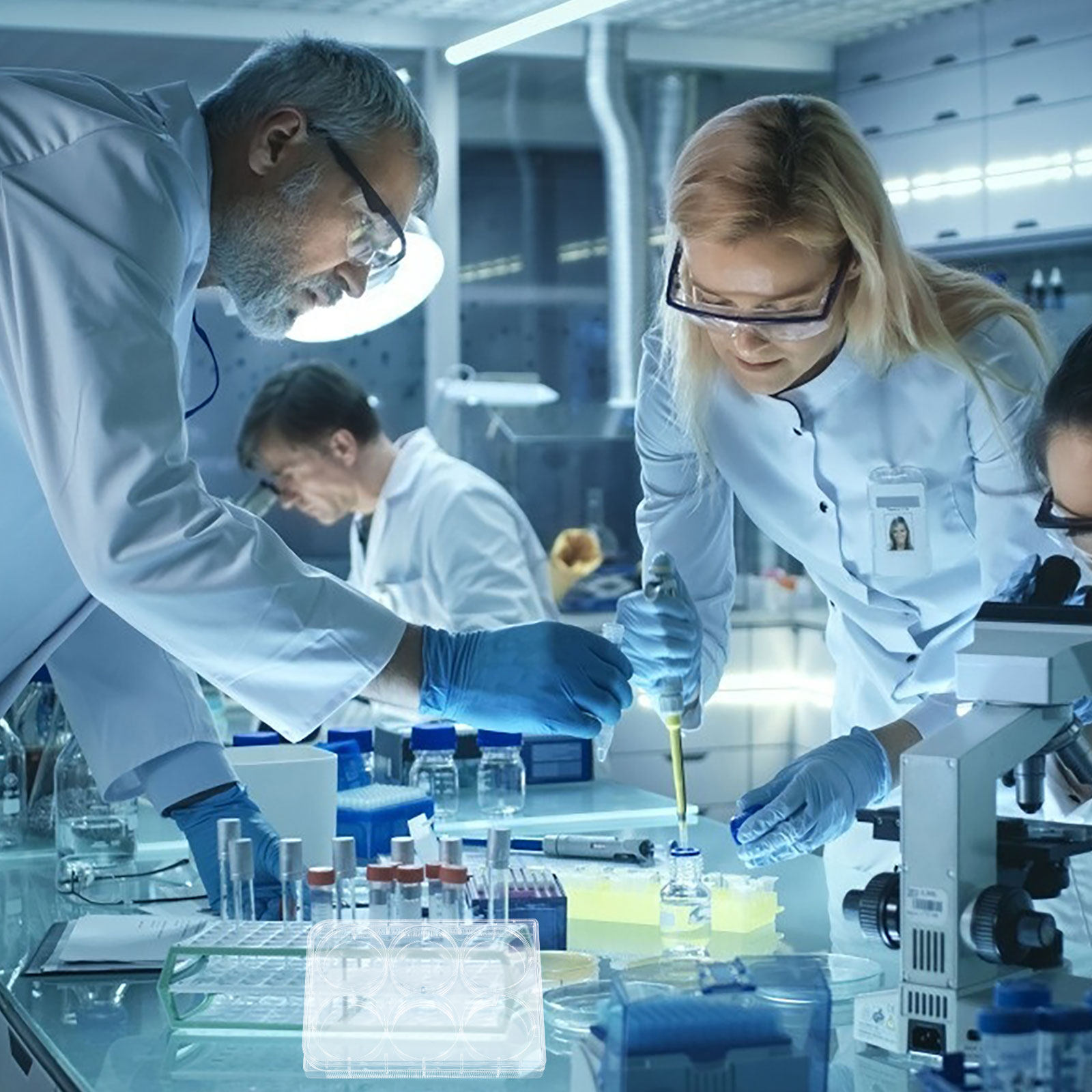 طبق زراعة الأنسجة المخبري ذو ت - مراجعة Lab Equipment وسعره