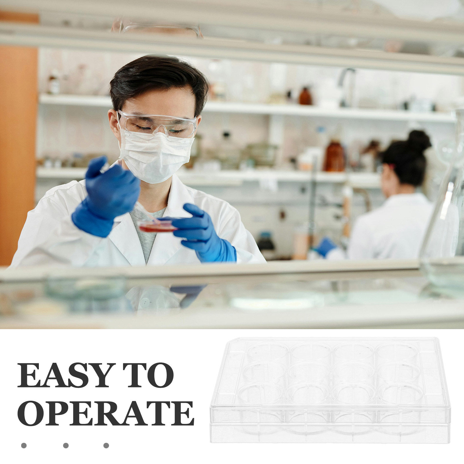 طبق زراعة الخلايا الشفاف ذو 12 - مراجعة Lab Equipment وسعره